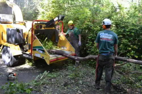 tree services Locust Grove